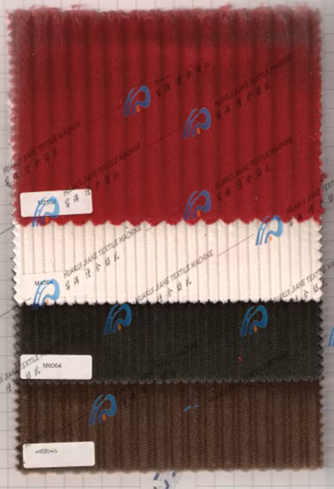 Telaio a getto d'acqua Macchinari per tessitura tessile Telaio elettrico/Telai a getto d'acqua di macchina jacquard elettronica/Telaio jacquard/Telaio a getto d'acqua Tessuto Leno